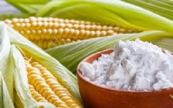 edible corn starch