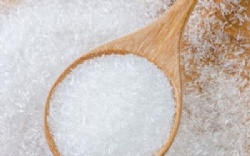 Monosodium Glutamate