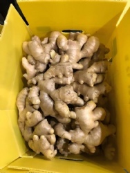 Air dry ginger