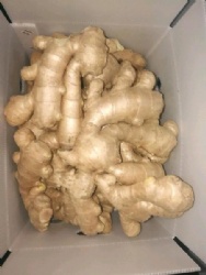 Air dry fresh ginger