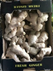 Fresh Air dry ginger