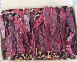 Sweet Paprika Pods