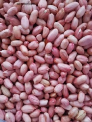 Pink skin peanut kernel