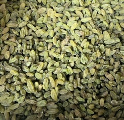 Green Raisins