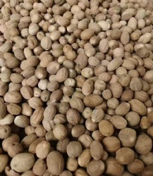 Nutmeg