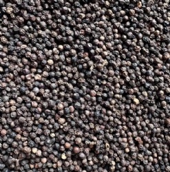 Black Pepper