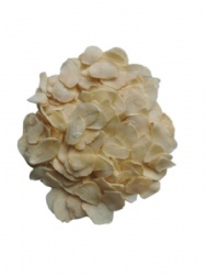 Garlic flake