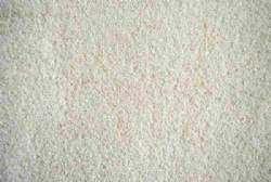 Garlic granules 40-60mesh