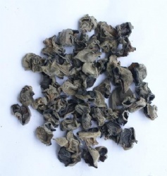 Black fungus wood mushrooms